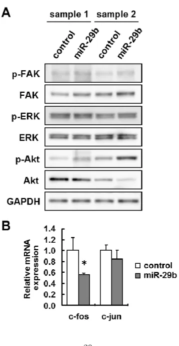 Figure 1-3    Effects of miR-29b overexpression on the ECM- and growth factor-related  signaling in mouse primary HSCs