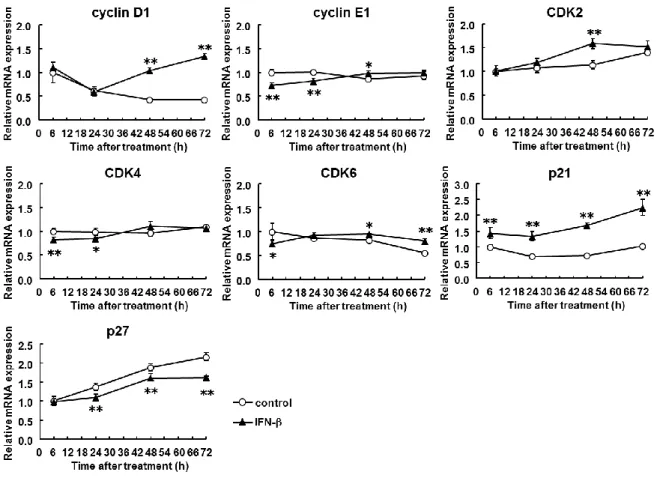 Figure 2-3    Expression of cell cycle-related genes in stellate cells. 