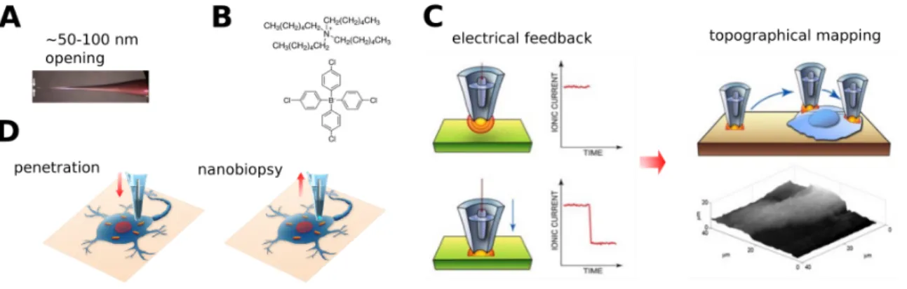 Figure 3. Schematic of the nanopipette setup and the application for single- single-cell sampling