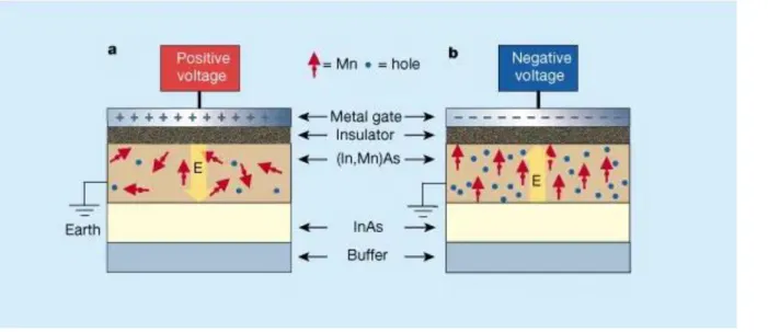 Figure 1.5: An electrically controlled magnetic switch device structure consisting of the (In,Mn)As thin  film as channel layer in the field effect transistor (FET) structure