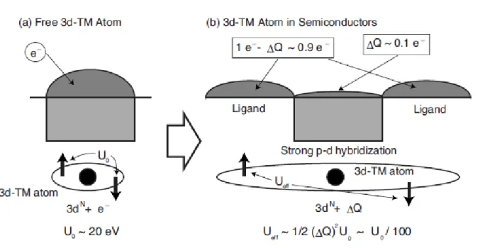Figure  2.3.1:  Schematic  representation  of  the  microscopic  reduction  mechanism  of  the  intra-atomic  Coulomb repulsion energy of 3d TM impurity atom (a) in isolated condition and (b) in semiconductors  [13]