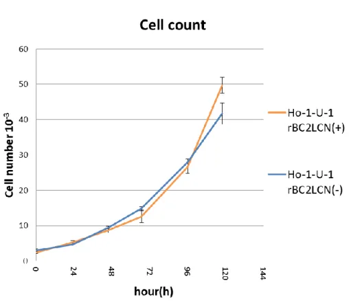 図 ６ ： rBC2LCN 認 識 糖 鎖 陽 性 細 胞 と 陰 性 細 胞 の 無 血 清 単 層 培 養 系 に お け る 増 殖 能  