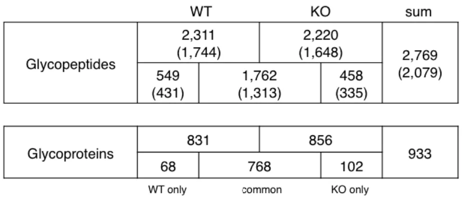 Table 1. Identification of AAL(+) glycopeptides by the IGOT-LC MS method. 