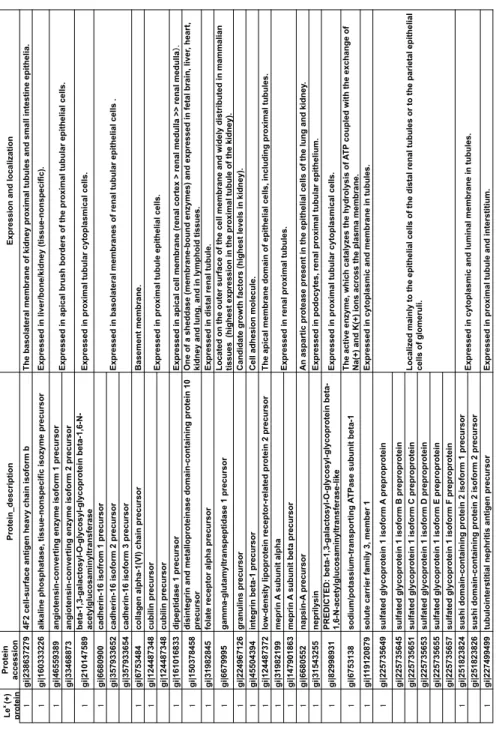 Table 2. List of Le x -carrying proteins by site-specific glycome analysis. 