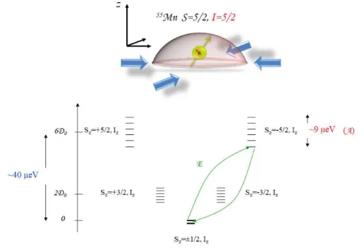 Figure I.10: Top: schematic view of a strained QD containing a magnetic atom.