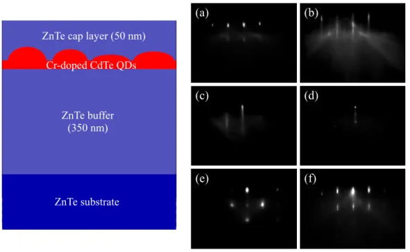 Figure II.3: Left: Layer structure of the strain Cr-doped CdTe QDs samples.