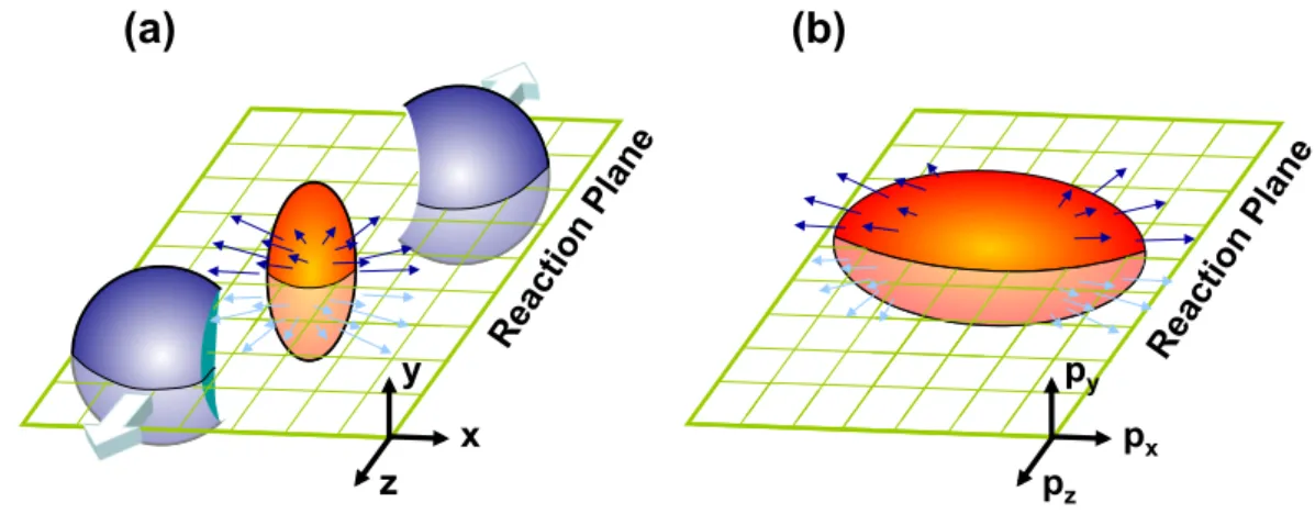 Figure 1.8: (a)Initial overlap of two nuclei in non central collisions in coordinate space