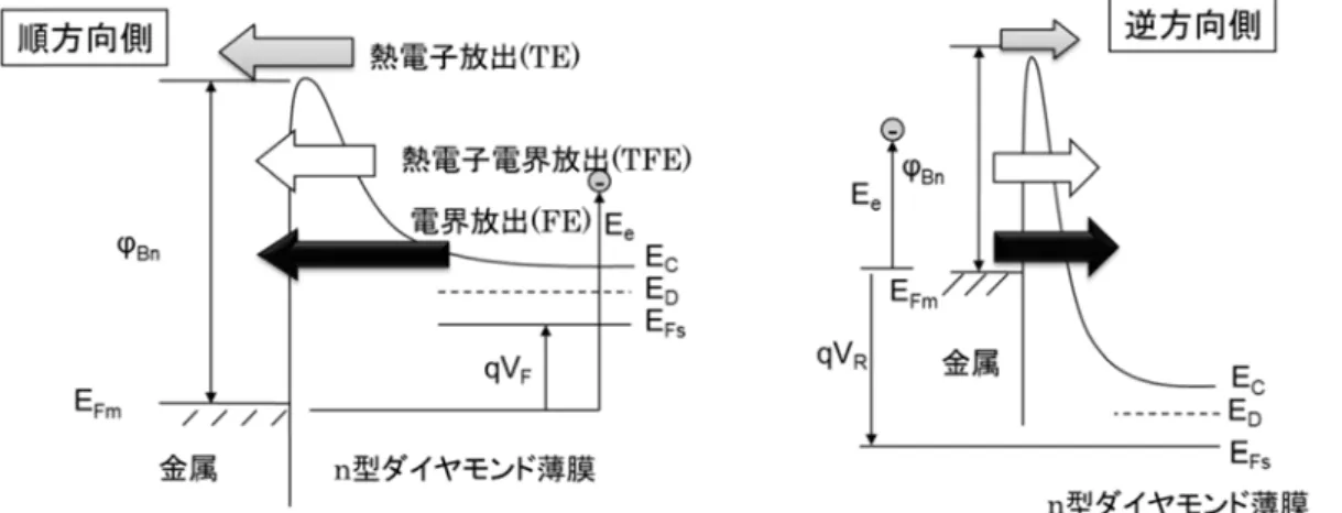図 4.4 に に電圧を印 徴を持った 算を行う。 4.3  数値計 図 4.5 に ットキー界 界面につい 示したダブ した通りで 金属/n + 型 （n 型ダイ ショットキ とも影響し 図 4