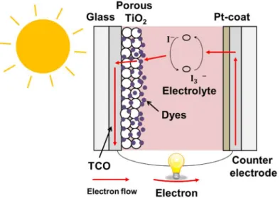Fig. 1.3 Structure and working principle of dye-sensitized solar cells. 
