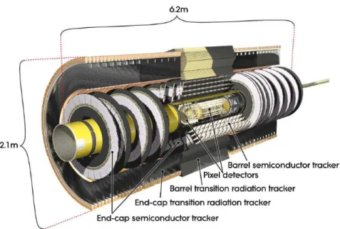 Figure 3.5: Schematic view of the silicon detector.