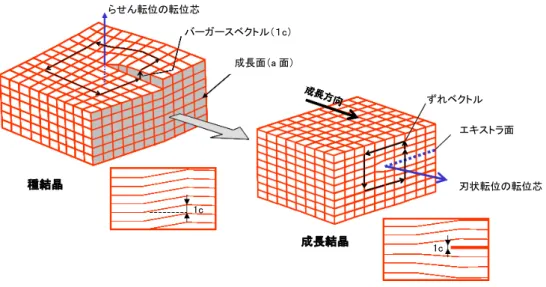 図 2-4 は、らせん転位がａ面成長によりｃ面内の刃状転位に変換される例を、理解しやすいように 立法晶の格子モデルで示したものである。成長面の近くに存在するらせん転位の歪ベクトル（ <0001> 方向ゆらぎ）は、ａ面成長する際、基底面内にエキストラ面１層の挿入あるいは、１層だけ抜く形で 歪を刃状転位に換えて成長する。図 2-3 で X 線トポグラフで観測された成長方向に伸びる筋は <0001> 方向にバーガースベクトルを持つ刃状転位の転位芯を観測した結果である 。 図 2-4