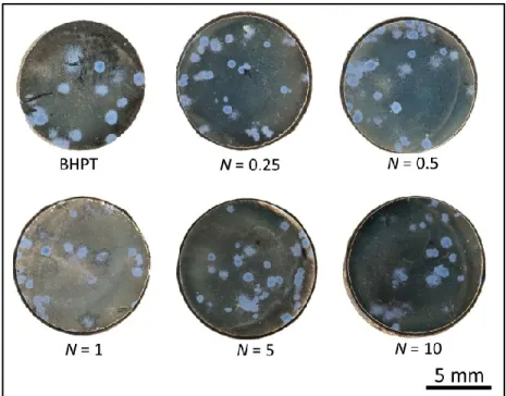 Fig. 3.1 Giemsa-stained samples showing the colony on the Ti-50mol%Ni samples surfaces