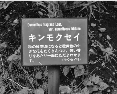 Figure A3. Bilingual Japanese and Latin Sign