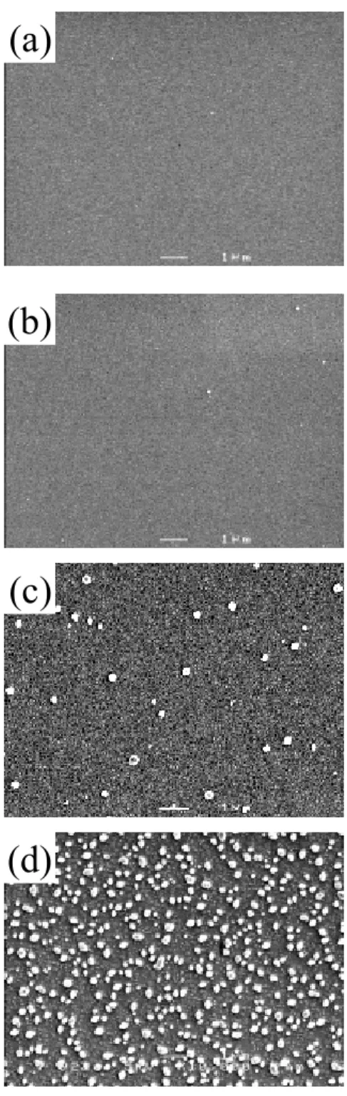 Fig. 2-10 SEM images of CuScO 2  thin films prepared on a-plane sapphire substrates  under substrate temperatures of (a) 800 °C, (b) 850 °C, (c) 900 °C, and  (d) 950 °C