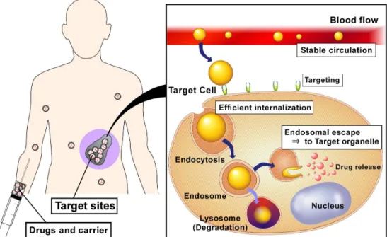 Fig. 1-1. The concept of Drug Delivery system (DDS). 