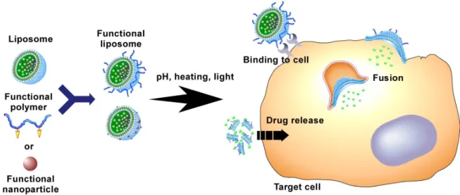 Fig. 1-3. Design of functional liposome by the conjugation of functional materials with liposome.
