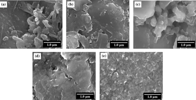 Figure 3.1.5.   Effect of the calcination temperature on the SEM images of the rod- rod-type TiO 2  electrode