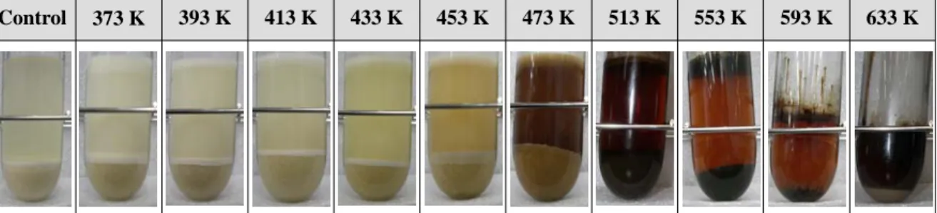 Figure 2.  Typical photographs of subcritical water treatment of rice bran as function of temperature for  5 min reaction time