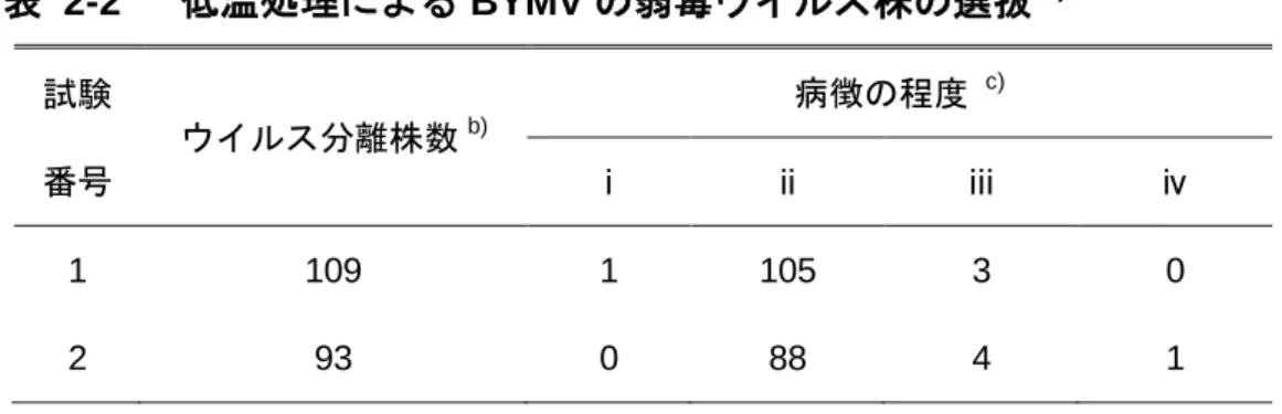 表   2-2 低温処理による BYMV の弱毒ウイルス株の選抜 a)     試験 番号  ウイルス分離株数 b) 病徴の程度  c)    ⅰⅱⅲ ⅳ 1  109  1  105  3  0  2  93  0  88  4  1  a)  BYMV 強毒株 IbG を 接種したソラマメを 15 ℃の低温で 90 日間処理した．     b)  処理葉から Chenopodium  quinoa  を用いて単一病斑分離を行って得られたウイル ス株数．