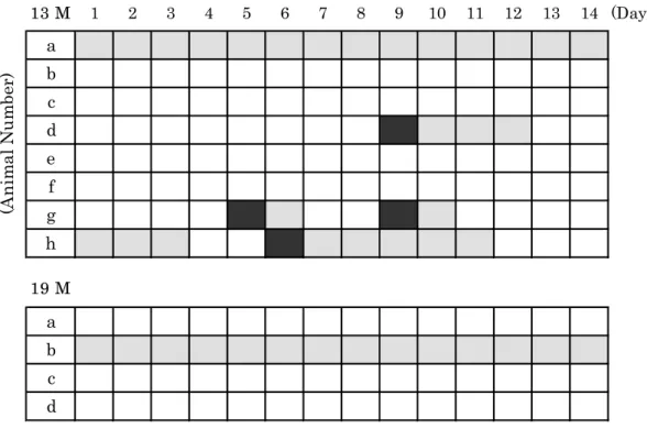 Fig. 1-1. The estrous cycles for 2 weeks in individual rats from 13 M and 19  M groups