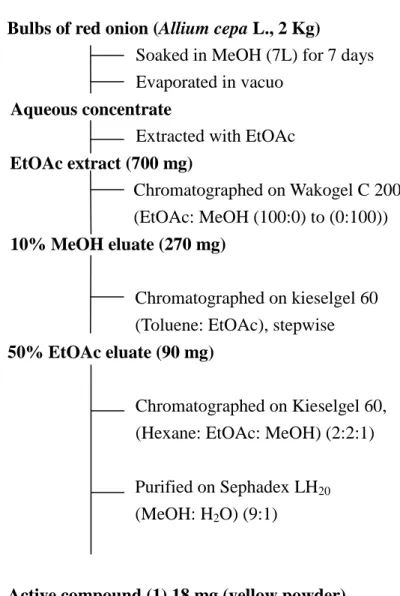 Fig. 3.2.1. Isolation procedure of active compound 1 from bulbs of Allium cepa 