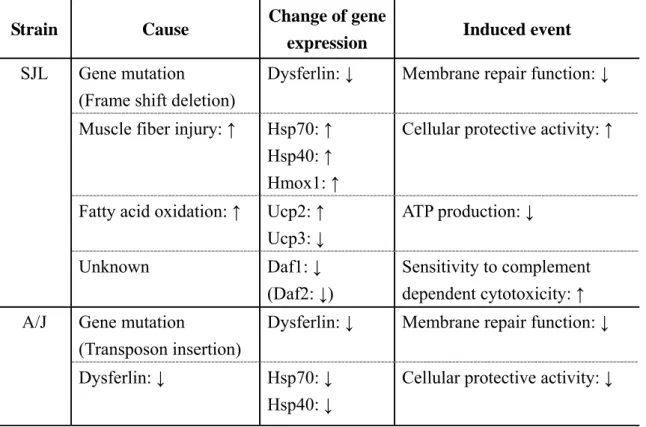 Table 5.  Estimated Pathogenesis of Muscular Dystrophy   in SJL and A/J Mice 