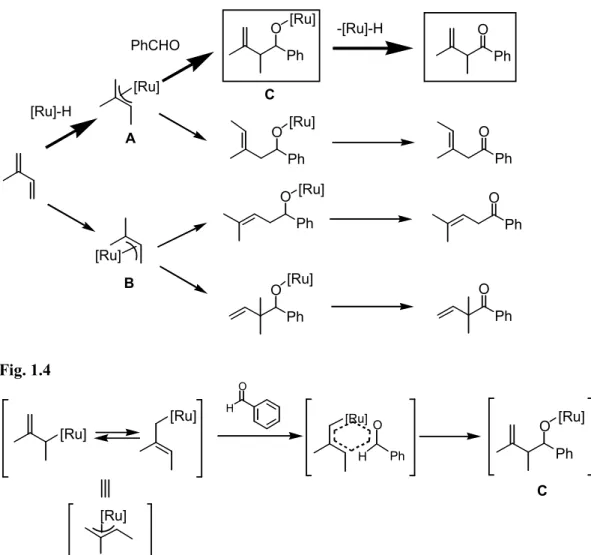 Fig. 1.3    Possible Regioselectivity 