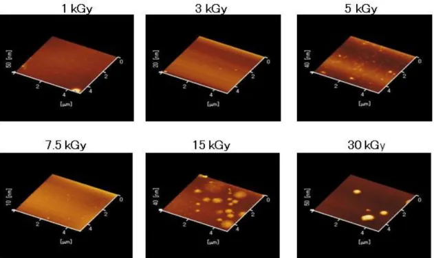 Fig. 2-2 AFM images of α-elastin nanoparticles after gamma irradiation 