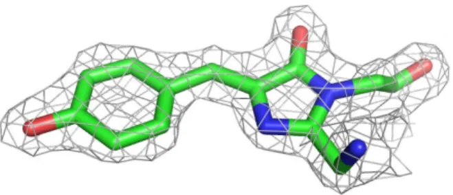 Fig. 12    The 2Fo-Fc electron density map of the chromophore  The 2Fo-Fc electron density map contoured at 1.5 σ showing the refined  structure of the chromophore of reassembled Venus