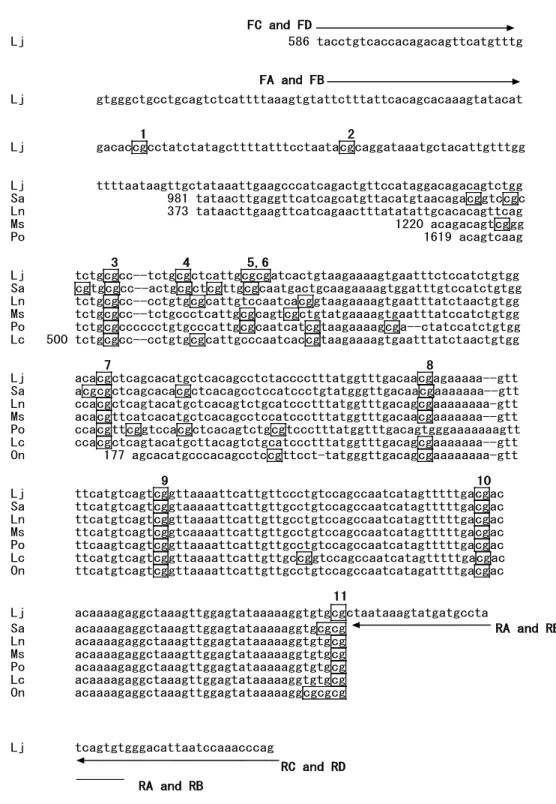 Figure  1.  1.  Conserved  sequences  in  the  myostatin  gene  5’  flanking  region.  Homologous  sequences  were  retrieved  from  GenBank  databases  and  aligned  to  identify  conserved  regions