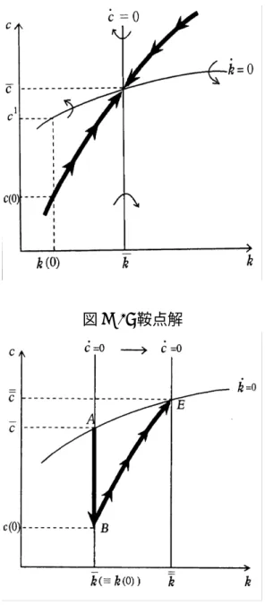 図 C 1: 鞍点解