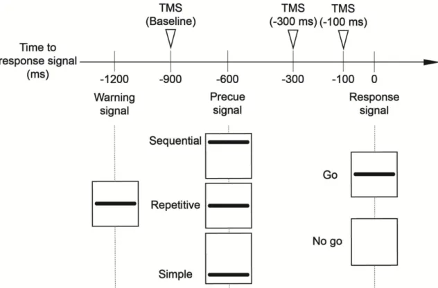 Figure 2. Schematic representation of time course in an experimental trial. 