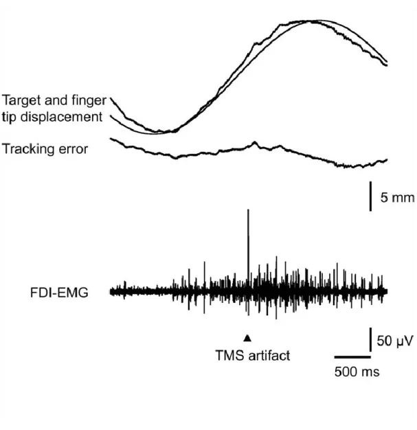Fig. 1. 3 Specimen record of target, fingertip displacement, tracking  error and FDI-EMG during visually guided manual tracking task