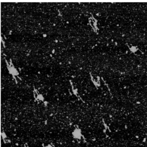 Fig. 4  Atomic force microscopy image of fully hydrated  xanthan gum (3 μm × 3 μm).