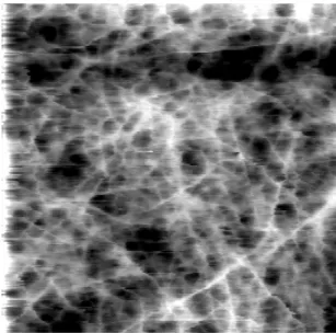 Fig. 6  Atomic force microscopy image of gellan gum bulk  gel immersed in water (5 μm × 5μm).