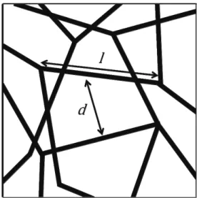 Fig. 10  Schematic illustration of semiflexible  strands linked rigidly. The average length of the  strands and the typical distance between the  strands are represented by l and d, respectively.