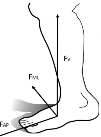 Fig. 8 F ML , F AP , F V  symbols denoting resolved components of ground reaction force 