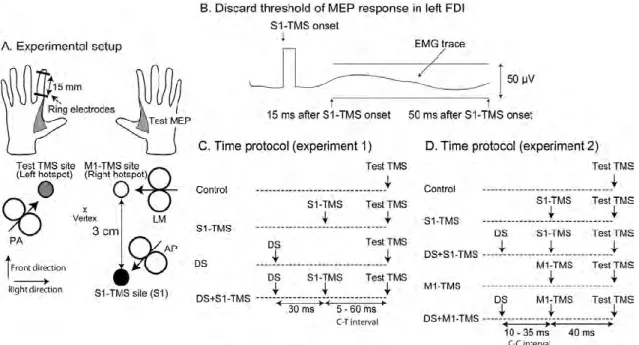 Fig. 1.  Experimental setup (A), the discard threshold of the MEP response in the left  FDI muscle (B) and time protocol of the test and conditioning stimuli in Experiments 1  (C) and 2 (D)