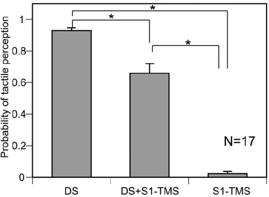 Fig.  2.  The  averaged  probability  of  the  TPDS  across  17  participants.  Bars  indicate  means, and error bars indicate standard errors of means