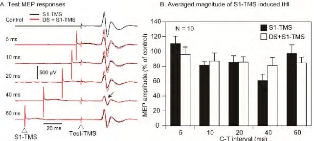 Fig. 7. The  averaged test MEP responses  (A) and the S1-TMS-induced  IHI with and  without the DS (B) in the participants with the TP ratio less than 1.0 in Experiment 1