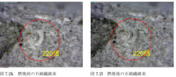 図 7.2h 接写撮影写真図 7.2g コロニアル片