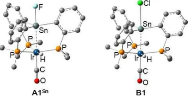 Figure  4.    Optimized  structures  of  {(o-Me 2 PC 6 H 4 ) 3 (F)Sn}Ir(H)(CO)  (A1 Sn )  and  {(o-Me 2 PC 6 H 4 ) 3 (Cl)Sn}Ir(H)(CO)  (B1)  from  the  B3PW91  functional