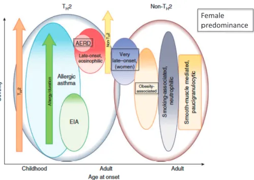 Figure 2 Asthma phenotypes.