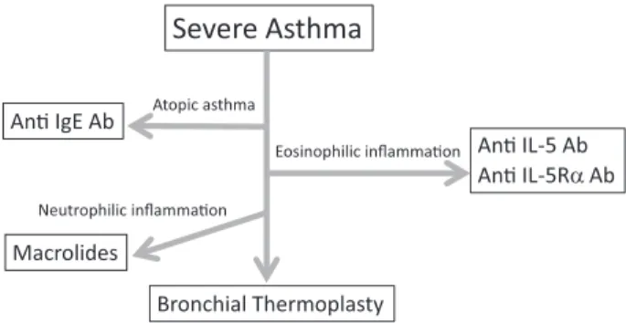 Figure 4 New therapeutic approaches to severe asthma. Modified from reference 2, p 107