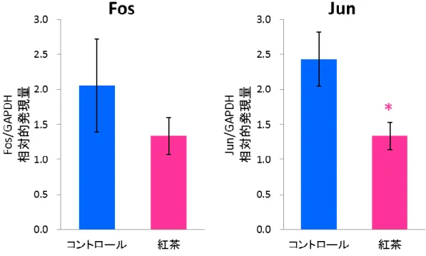 図 4 -3.  紅 茶 の 摂 取 が KK-A y マウスの Fos および Jun 発 現 量 に及 ぼす影 響   平 均 値 ±標 準 誤 差 . 