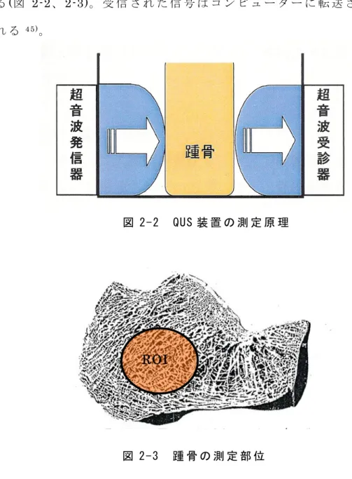 図 2-2  QUS 装 置 の 測 定 原 理  