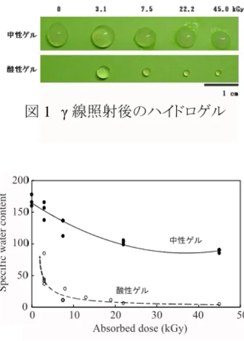 図 2  照射量と膨潤率との関係 