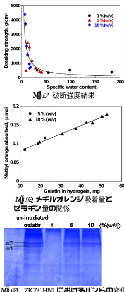 Fig. 4  メチルオレンジ吸着量と 
