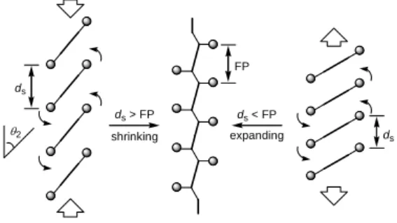 Figure 1.  Schematic model for the shrinking and  expanding of crystals during polymerization in the  solid state