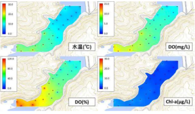 図 4  漆沢ダム夏季底層濃度分布  水温躍層が水深 5m 付近，15m 付近で 3 層に形成され ており，16m 以深で DO 低下が起こることを確認した。 DO 飽和度は表層では過飽和となっていたが，水深の増 大に伴い躍層状に低下していた。(図 5)  上・中流部は比較的水深が浅く，流入する水流の影響 もあったため，底層 DO の低下が見られなかったようで ある。  図 5  漆沢ダム夏季断面濃度分布  (3)秋季(11 月)  全域で夏季よりも DO 低下は改善されていたが，下流 部の水深が大きい地点